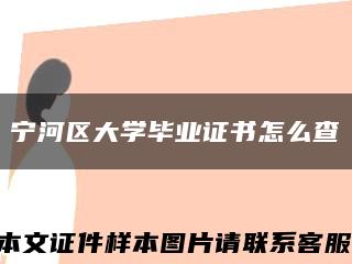 宁河区大学毕业证书怎么查缩略图