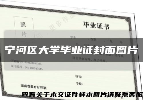 宁河区大学毕业证封面图片缩略图