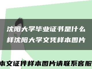 沈阳大学毕业证书是什么样沈阳大学文凭样本图片缩略图