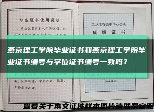 燕京理工学院毕业证书和燕京理工学院毕业证书编号与学位证书编号一致吗？缩略图