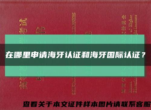在哪里申请海牙认证和海牙国际认证？缩略图