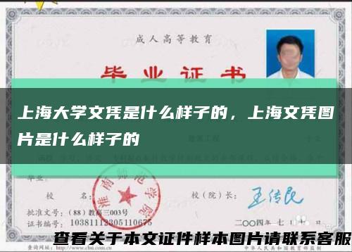 上海大学文凭是什么样子的，上海文凭图片是什么样子的缩略图