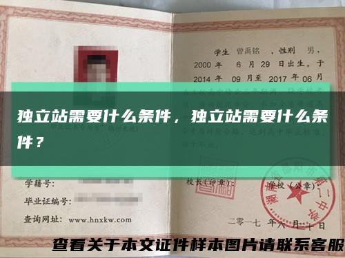 独立站需要什么条件，独立站需要什么条件？缩略图