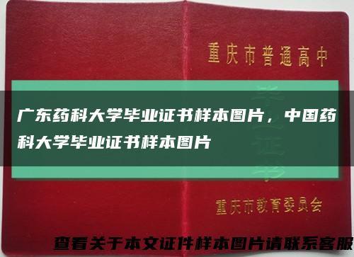 广东药科大学毕业证书样本图片，中国药科大学毕业证书样本图片缩略图