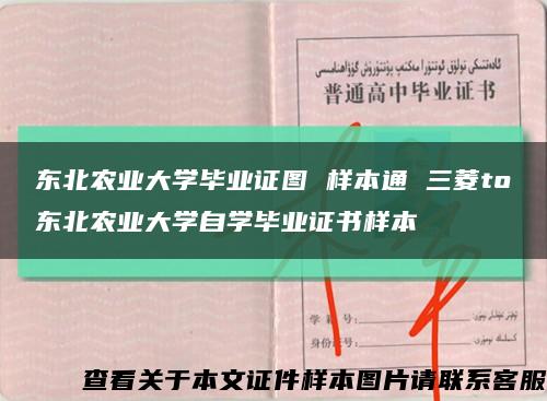 东北农业大学毕业证图 样本通 三菱to东北农业大学自学毕业证书样本缩略图