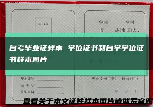 自考毕业证样本 学位证书和自学学位证书样本图片缩略图