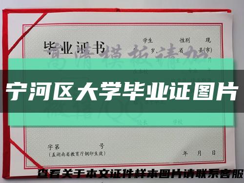 宁河区大学毕业证图片缩略图