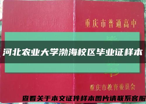 河北农业大学渤海校区毕业证样本缩略图