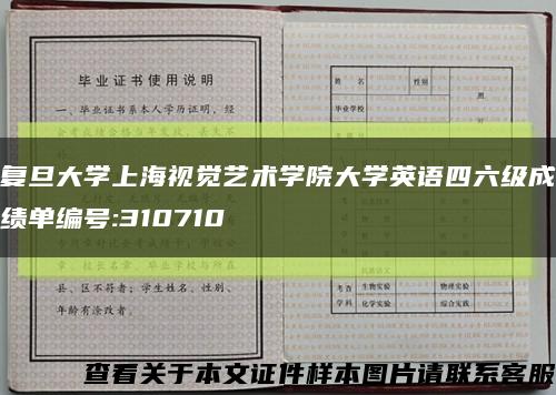 复旦大学上海视觉艺术学院大学英语四六级成绩单编号:310710缩略图