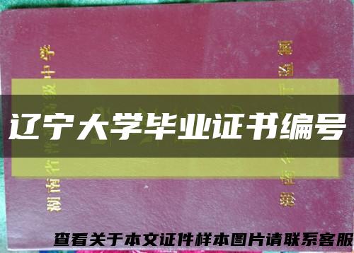 辽宁大学毕业证书编号缩略图