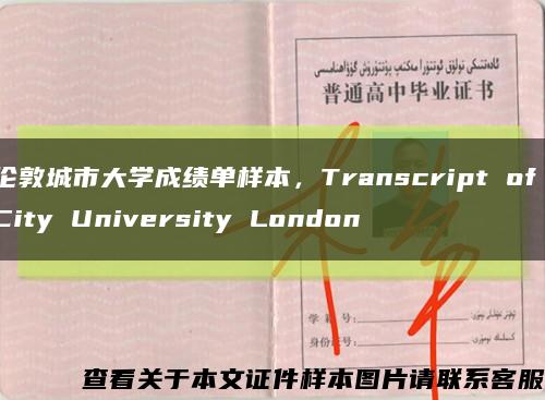 伦敦城市大学成绩单样本，Transcript of City University London缩略图