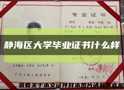 静海区大学毕业证书什么样缩略图