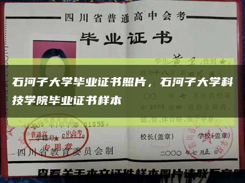 石河子大学毕业证书照片，石河子大学科技学院毕业证书样本缩略图