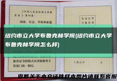 纽约市立大学布鲁克林学院(纽约市立大学布鲁克林学院怎么样)缩略图