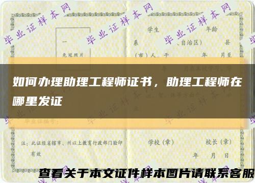 如何办理助理工程师证书，助理工程师在哪里发证缩略图