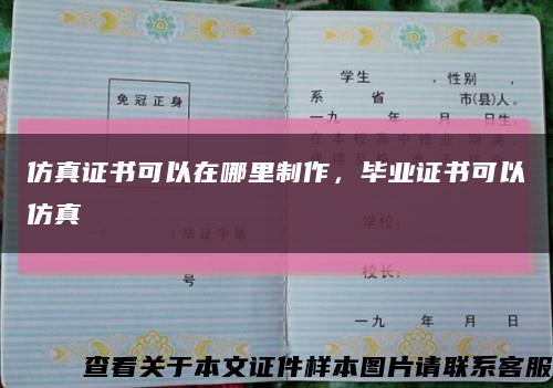 仿真证书可以在哪里制作，毕业证书可以仿真缩略图