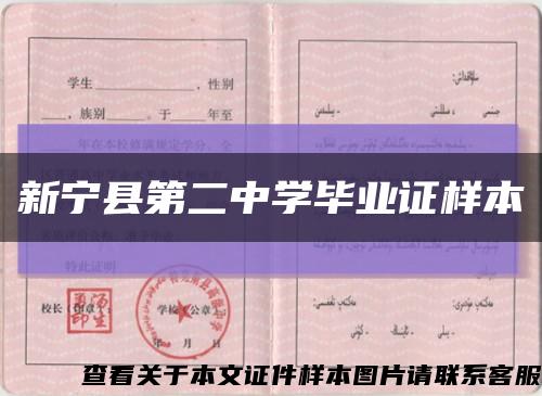 新宁县第二中学毕业证样本缩略图
