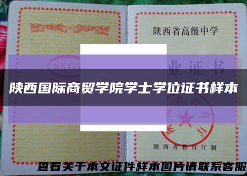 陕西国际商贸学院学士学位证书样本缩略图