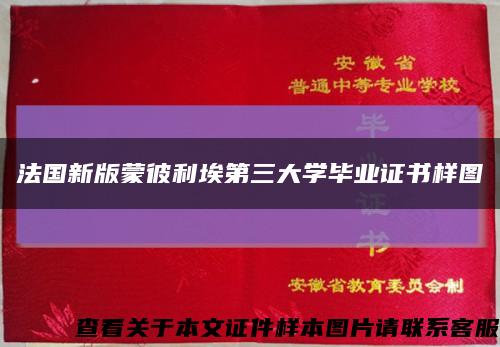 法国新版蒙彼利埃第三大学毕业证书样图缩略图