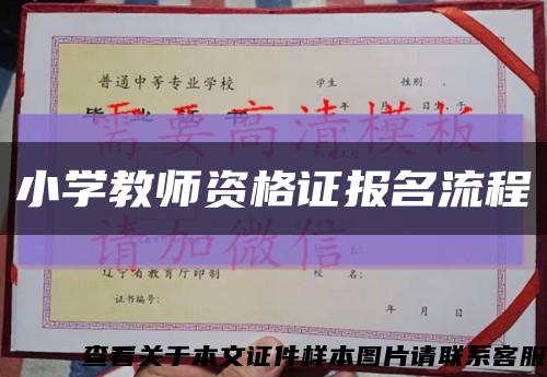 小学教师资格证报名流程缩略图