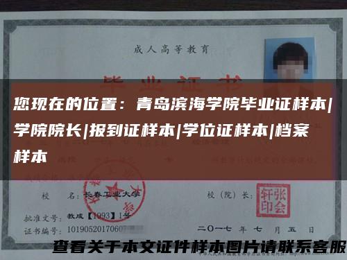 您现在的位置：青岛滨海学院毕业证样本|学院院长|报到证样本|学位证样本|档案样本缩略图