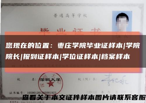 您现在的位置：枣庄学院毕业证样本|学院院长|报到证样本|学位证样本|档案样本缩略图