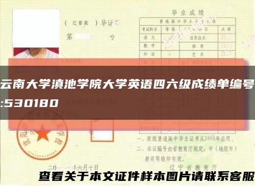 云南大学滇池学院大学英语四六级成绩单编号:530180缩略图