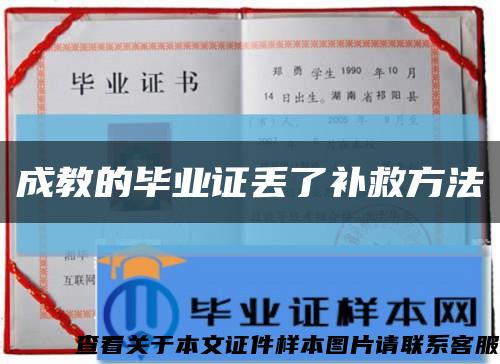 成教的毕业证丢了补救方法缩略图