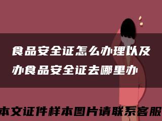 食品安全证怎么办理以及办食品安全证去哪里办缩略图
