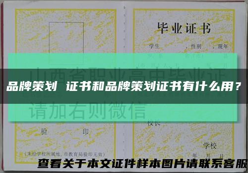 品牌策划 证书和品牌策划证书有什么用？缩略图