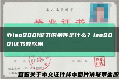 办iso9001证书的条件是什么？iso9001证书有啥用缩略图