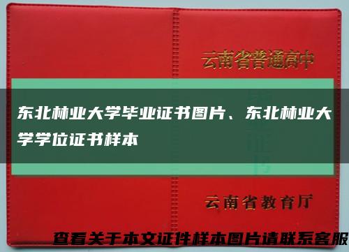 东北林业大学毕业证书图片、东北林业大学学位证书样本缩略图