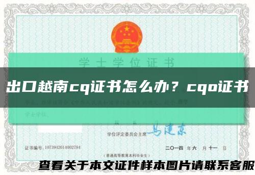 出口越南cq证书怎么办？cqo证书缩略图