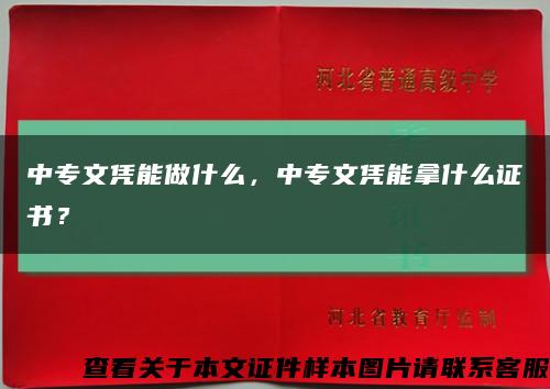 中专文凭能做什么，中专文凭能拿什么证书？缩略图
