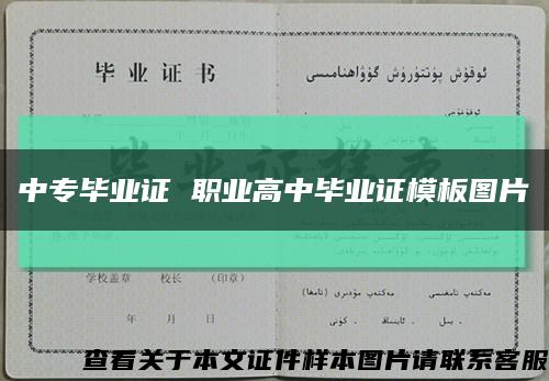 中专毕业证 职业高中毕业证模板图片缩略图