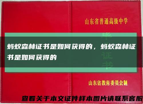 蚂蚁森林证书是如何获得的，蚂蚁森林证书是如何获得的缩略图