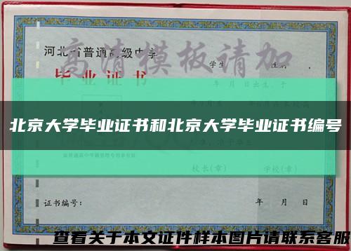 北京大学毕业证书和北京大学毕业证书编号缩略图