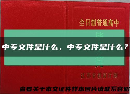 中专文件是什么，中专文件是什么？缩略图