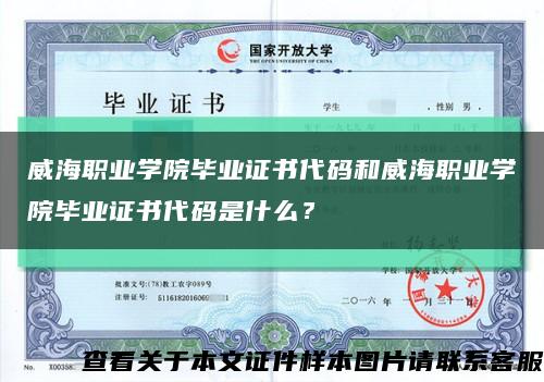 威海职业学院毕业证书代码和威海职业学院毕业证书代码是什么？缩略图