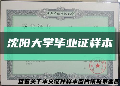 沈阳大学毕业证样本缩略图