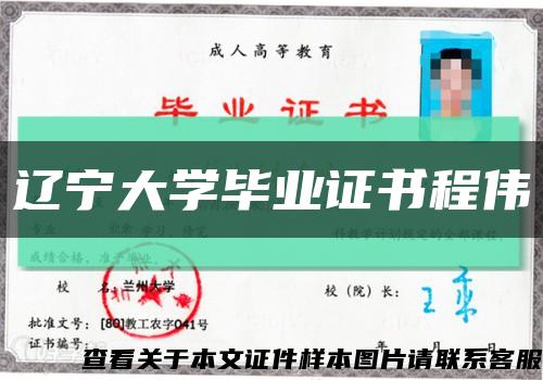 辽宁大学毕业证书程伟缩略图
