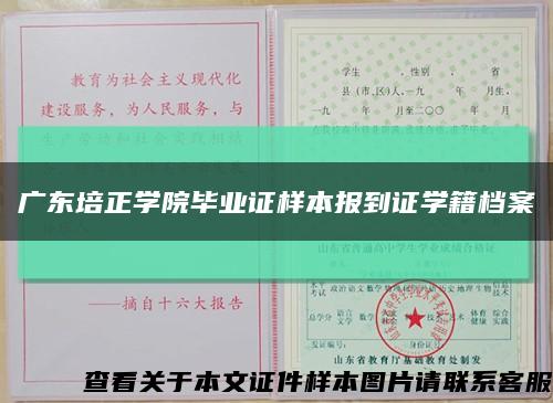 广东培正学院毕业证样本报到证学籍档案缩略图