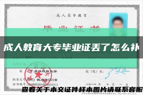 成人教育大专毕业证丢了怎么补缩略图