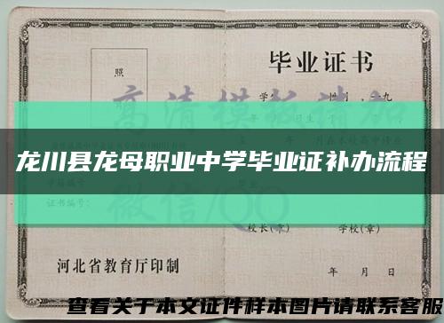龙川县龙母职业中学毕业证补办流程缩略图