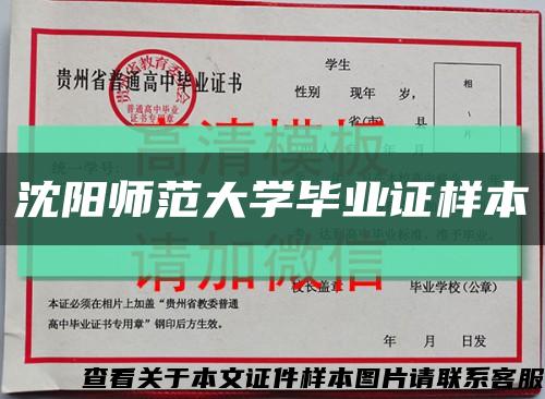 沈阳师范大学毕业证样本缩略图