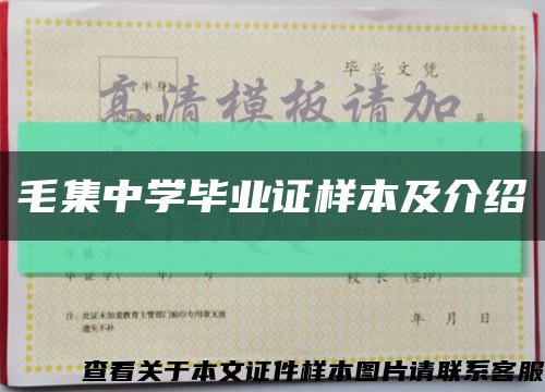 毛集中学毕业证样本及介绍缩略图