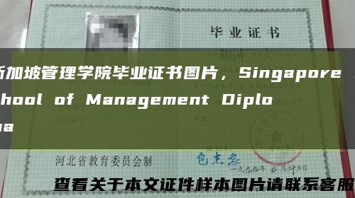 新加坡管理学院毕业证书图片，Singapore School of Management Diploma缩略图