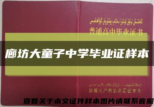 廊坊大童子中学毕业证样本缩略图