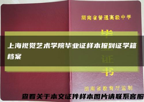 上海视觉艺术学院毕业证样本报到证学籍档案缩略图