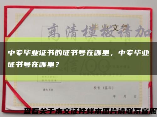 中专毕业证书的证书号在哪里，中专毕业证书号在哪里？缩略图